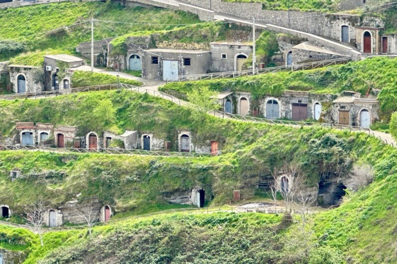 TOUR ENOLOGICO  <br>  E VENERDI SANTO A BARILE <br> Venerdi 3 Aprile 2026